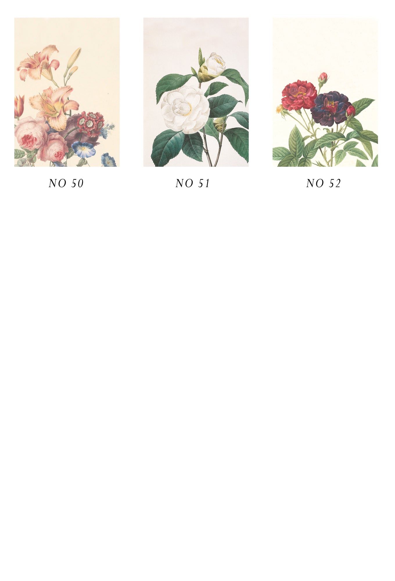 Succulent Vellum  PRINTABLE VELLUM PATTERN – Bella Rose Paper Co